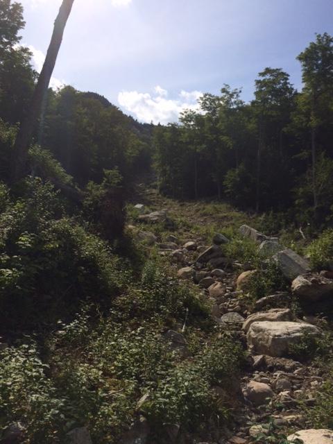 Cooper Kiln Slide to Wilmington Peak