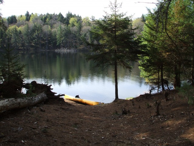 Grass Pond Grass Pond