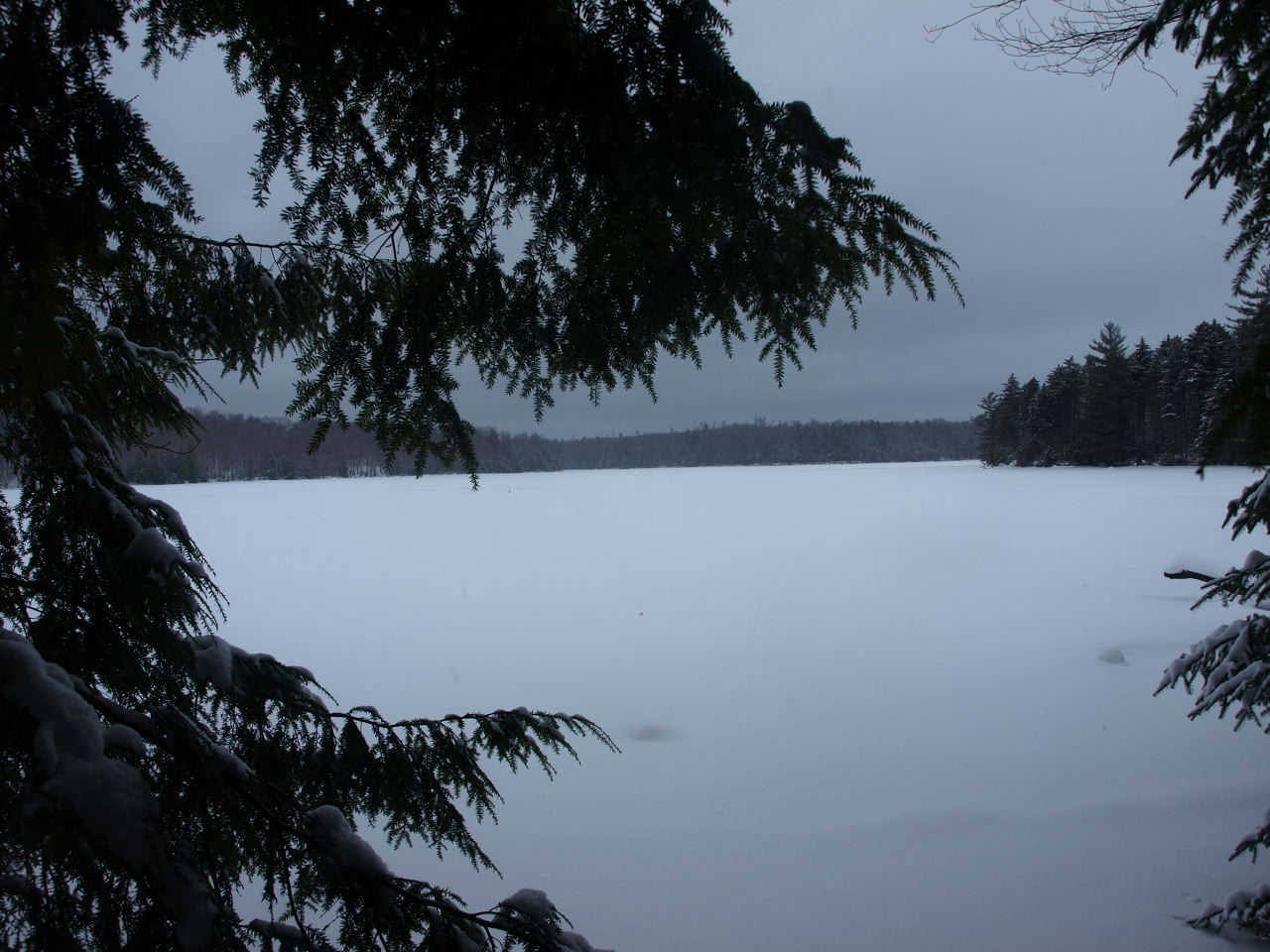 Cranberry Lake at Janacks Landing