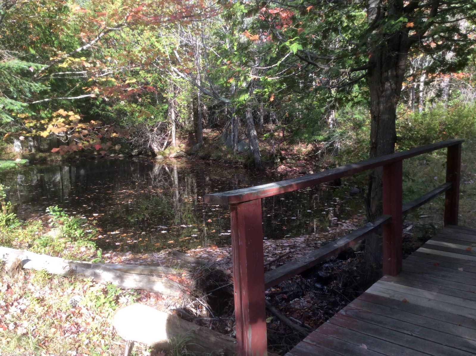 Lake Stevens is seen from all parts of the park.