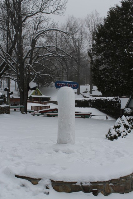Pole