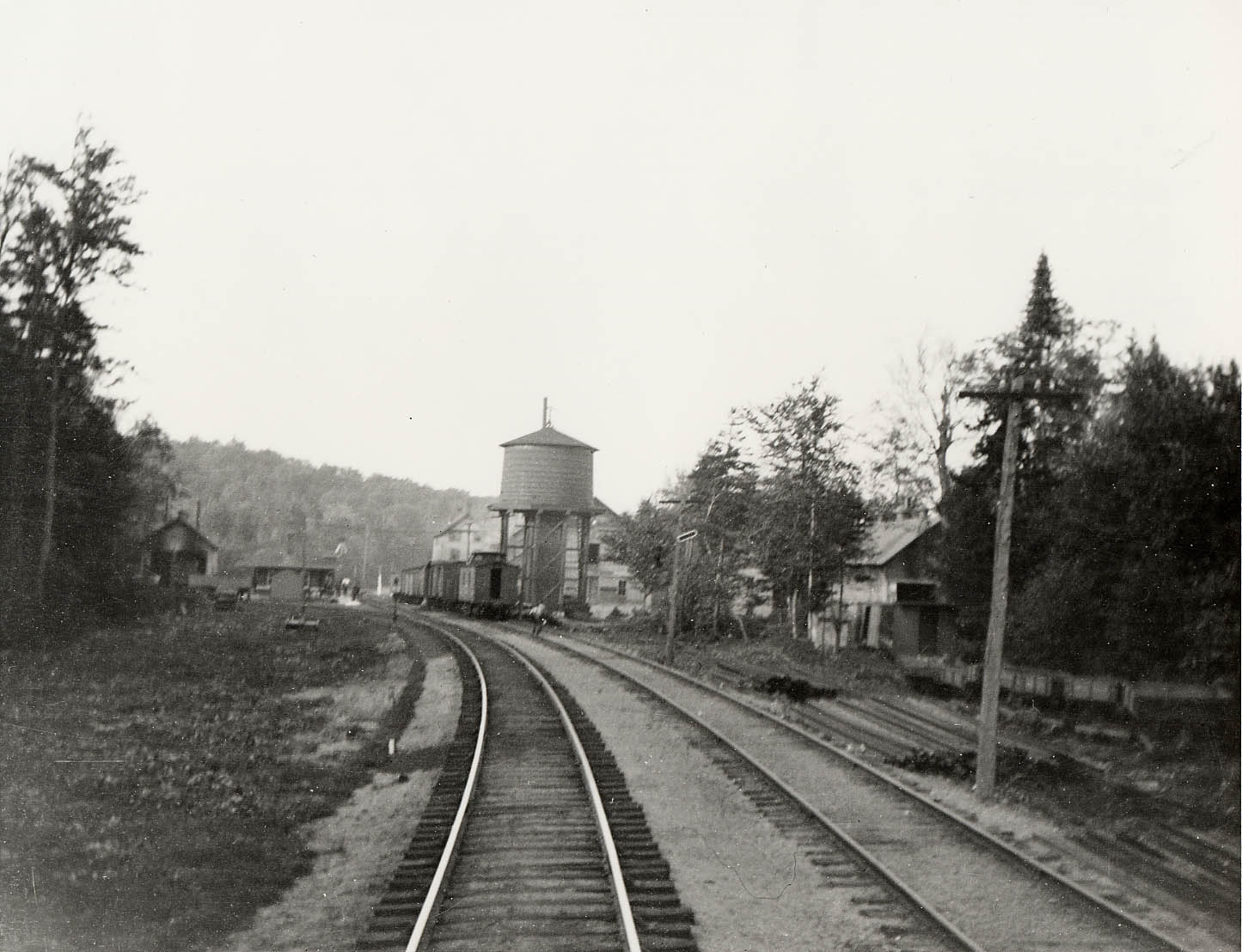 Horseshoe Lake Railroad Station (c. 1900). The image looks north towards the Horseshoe Lake Train Station (left). The building furthest to the left is the two-stall engine house for the Maple Valley RR owned by A.A. Low. On the right are the mill buildings for the Wake Robin RR also owned by Low. (Photo from the Adirondack Museum Collection)