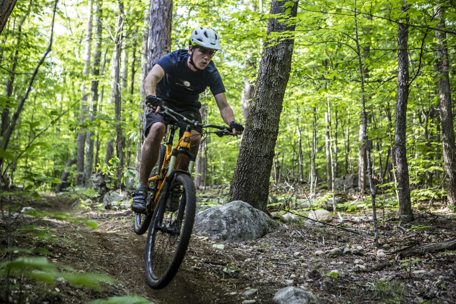 Going down? Mountain biking is probably the most exciting way to get down Whiteface.