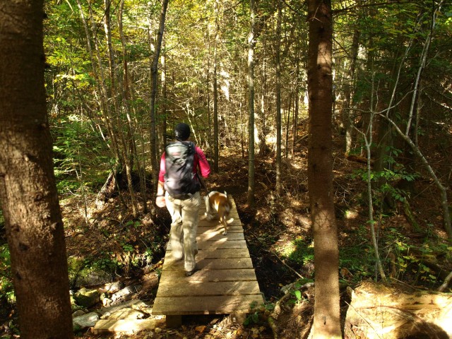 Trail