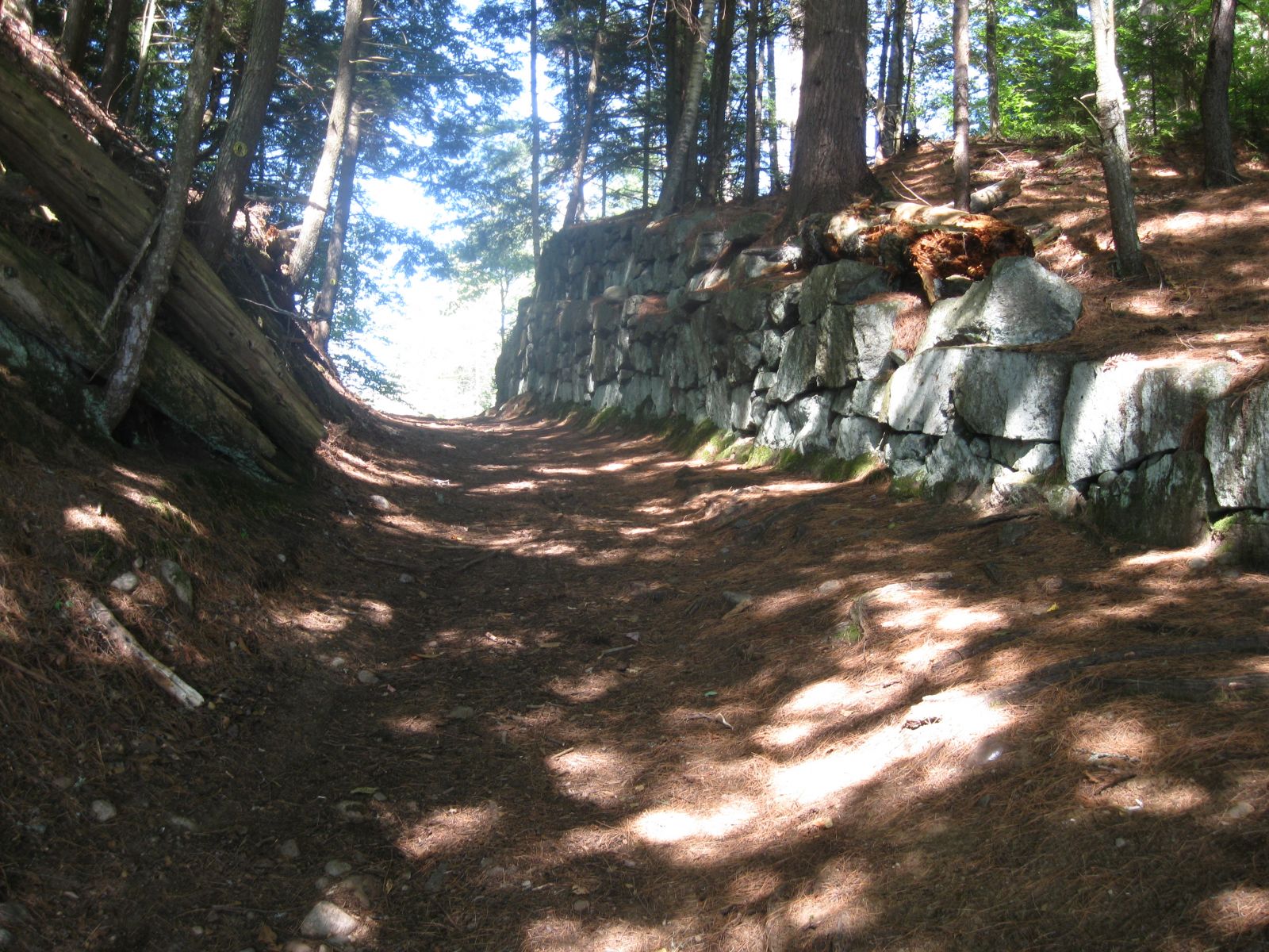 Path from Upper St. Regis to Bog Pond - 1st portage