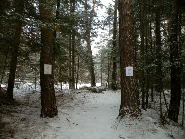 The Jackrabbit Trail can be joined at this Saranac Lake trailhead The Jackrabbit Trail can be joined at this Saranac Lake trailhead