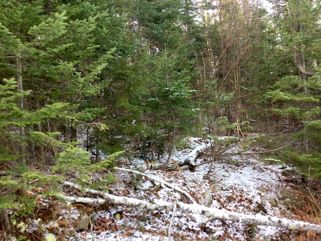 The green of summer, the brown of autumn, and the white of winter.
