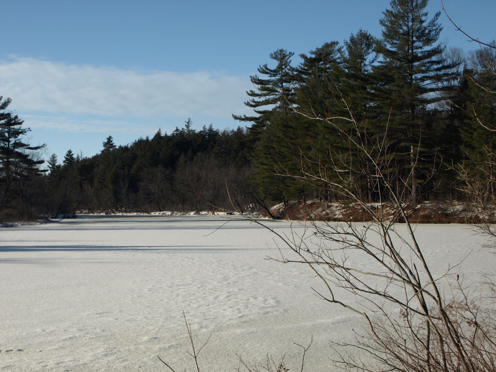 Raquette River