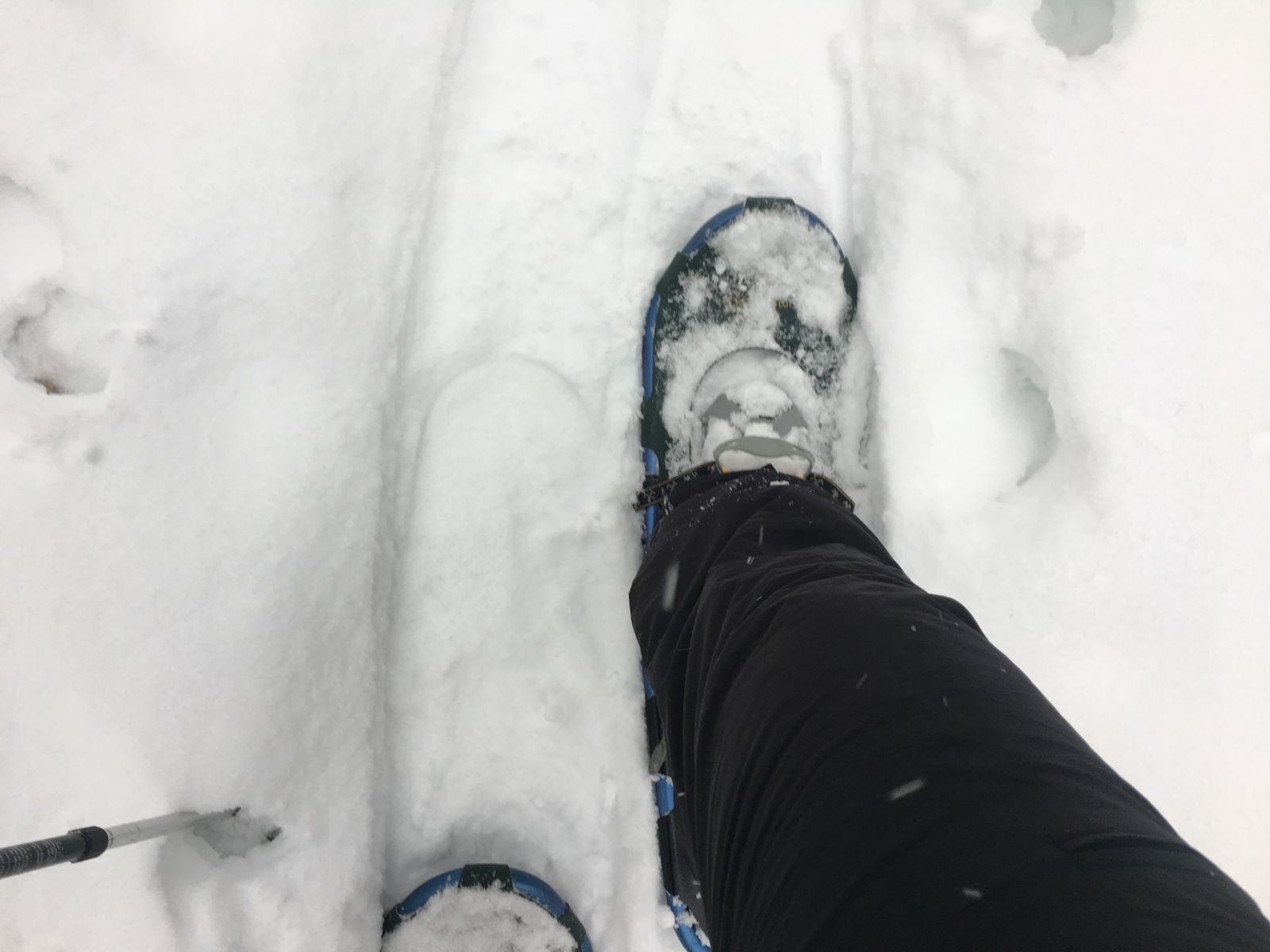 Walking the walk.