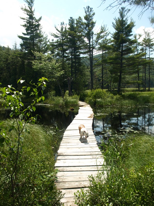 Floating bridge