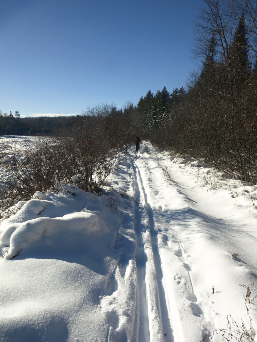 Along the old railroad grade