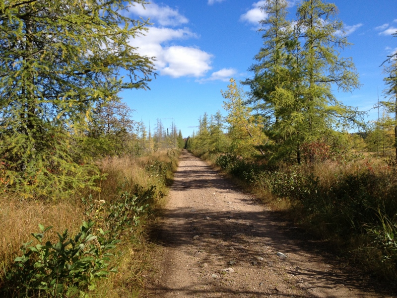 Massawepie Mire Trail