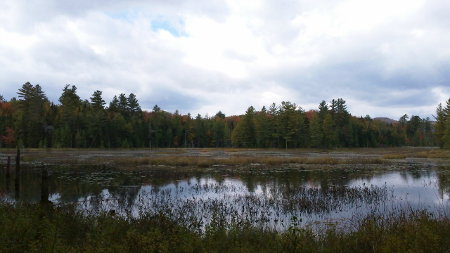 Heron Marsh Trail is only one of the twenty five miles of mostly flat trails at the VIC Heron Marsh Trail is only one of the twenty five miles of mostly flat trails at the VIC