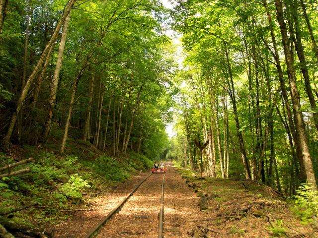 the rails are a sunny stretch of trail in the midst of untouched forest the rails are a sunny stretch of trail in the midst of untouched forest