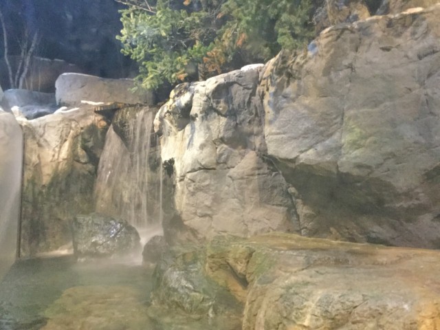 The otter swims back into the deeper recesses of his world.