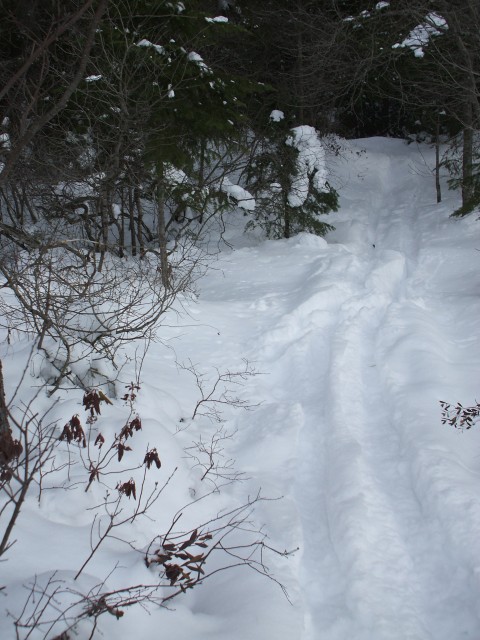 Trail Trail