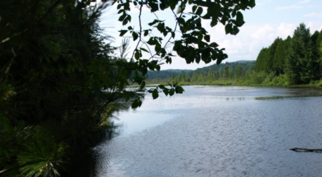 Little Colby Pond leads to Lake Colby