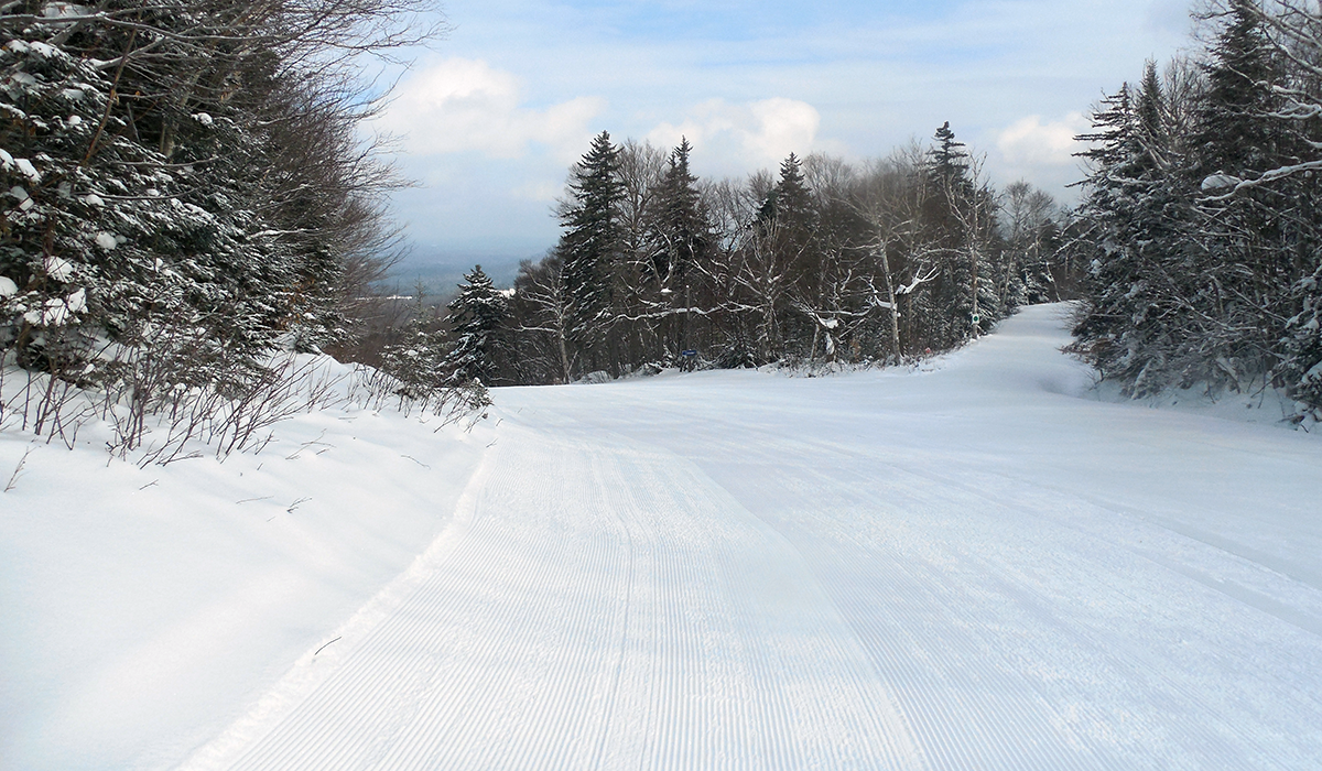 Now the decisions start... which trail do I take? 5 it is! (a/k/a "Cruiser")
