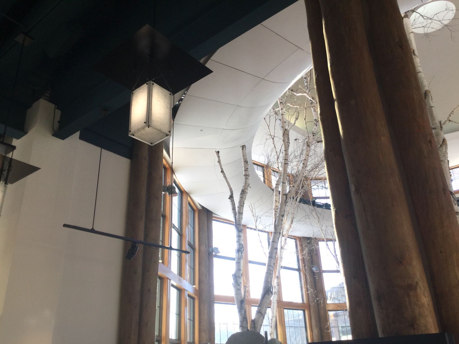 These lights adjust, using just enough energy.