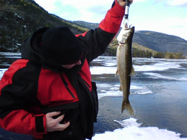Good Catch