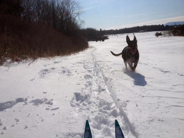 Skiing with Katie