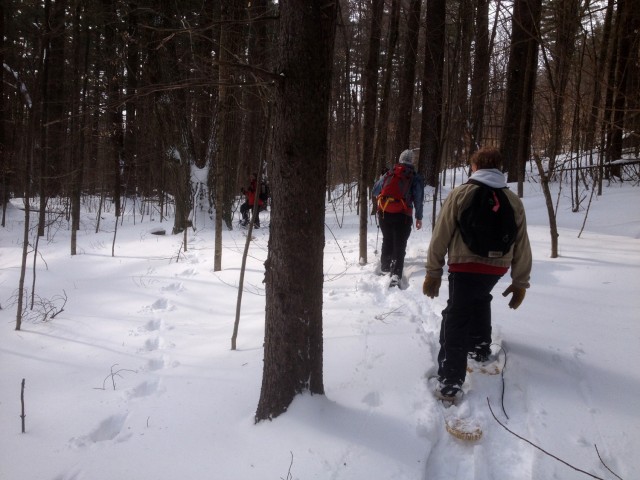 Tracking the fisher