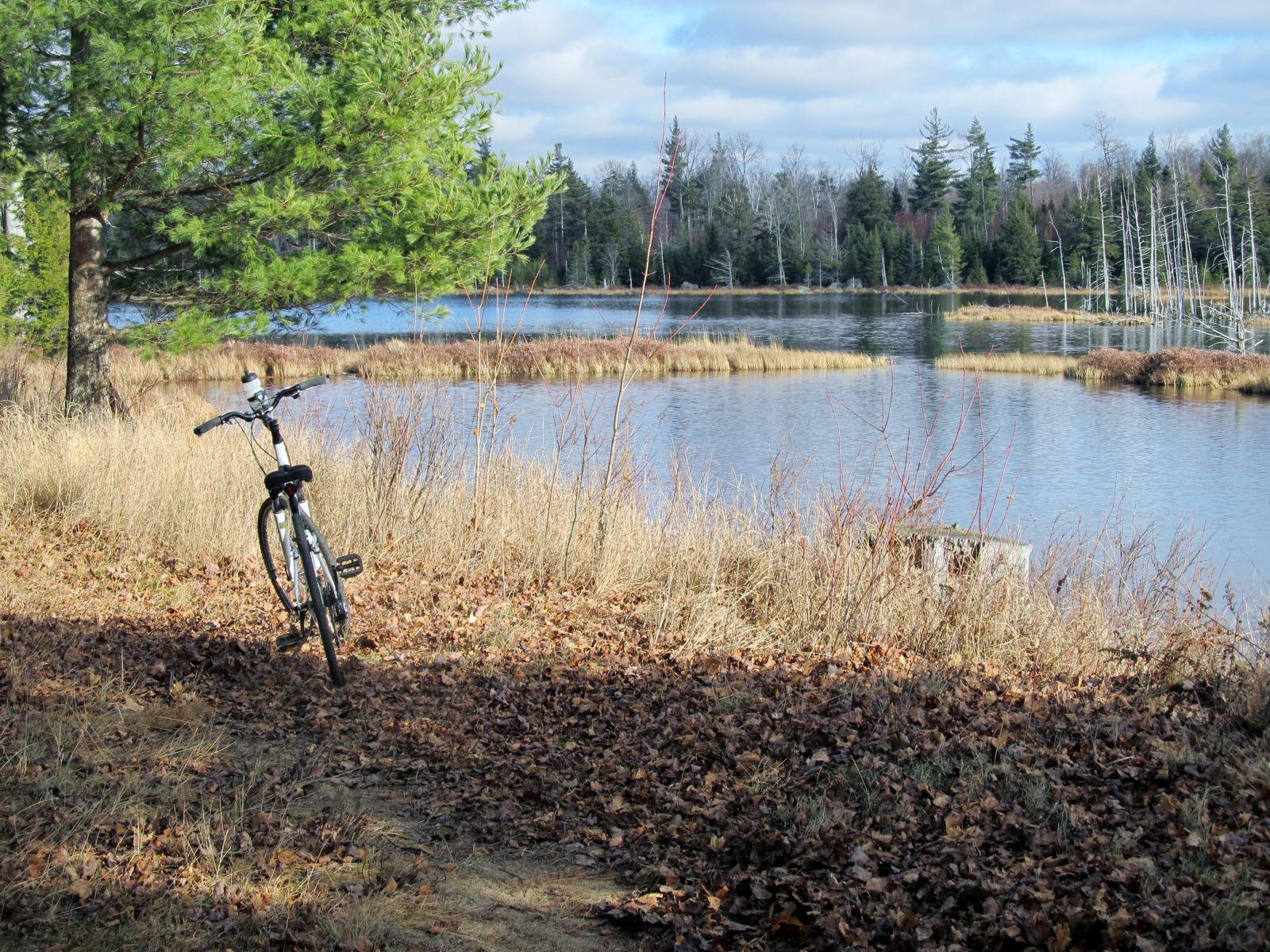 Cranberry Pond