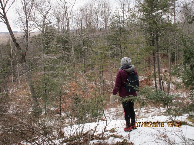 The view from the top of the Wildway Passage Trail.