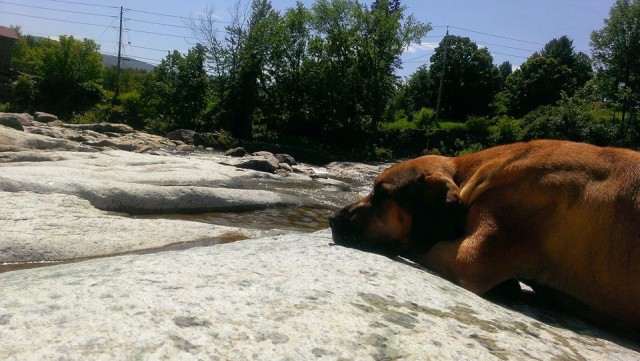 at the rapids in jay