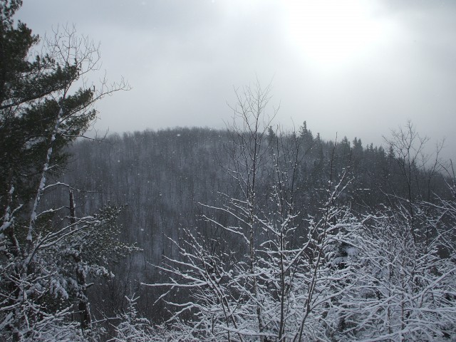 Noranale