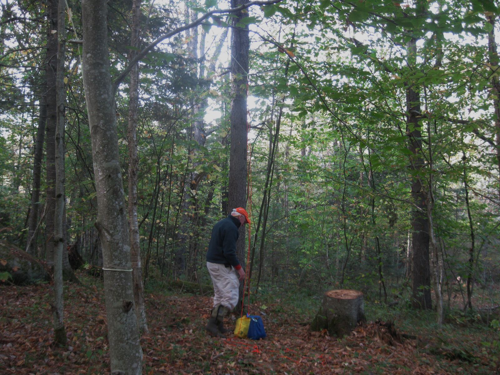 Ed hanging the bear bag. Bear canisters are easier, if you can open them.