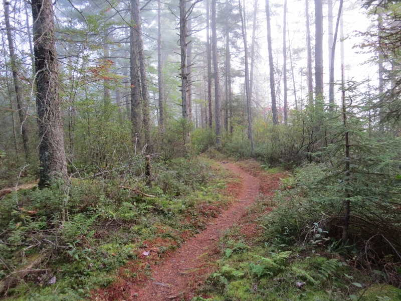 Mountaineer Trail along Massawepie Lake
