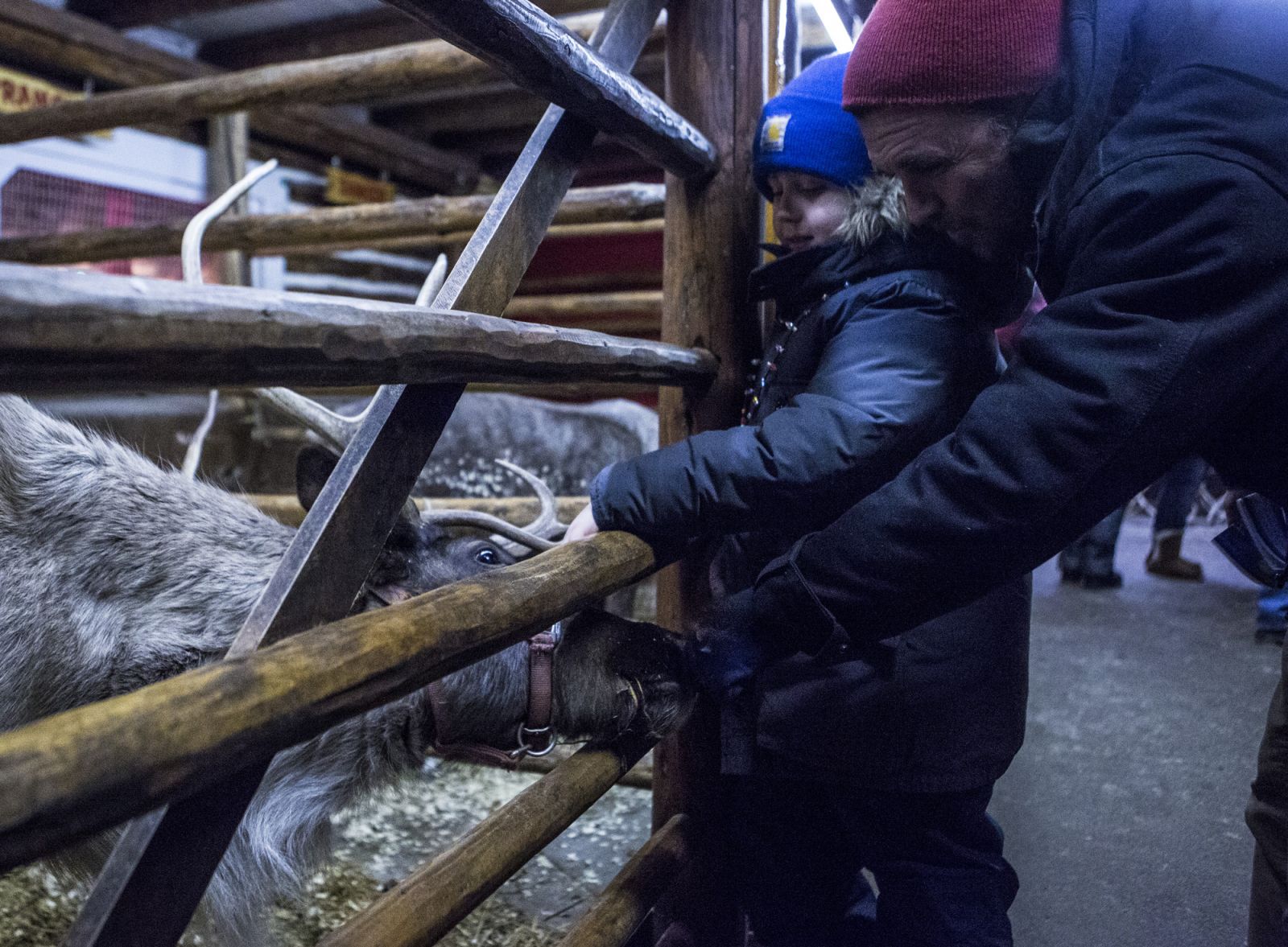 Meet the reindeer at Santa's Workshop.