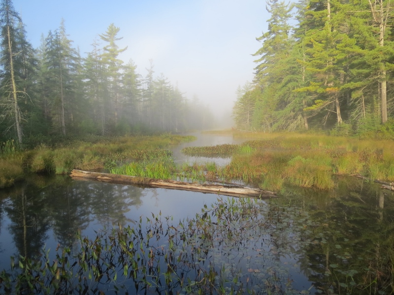 View from the bridge over the outlet of Massawepie Lake