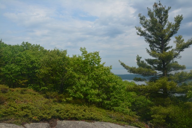 Ridge