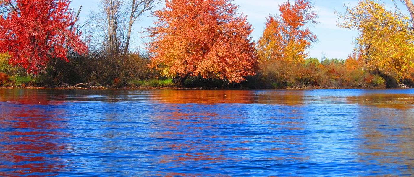 Look at the colors!