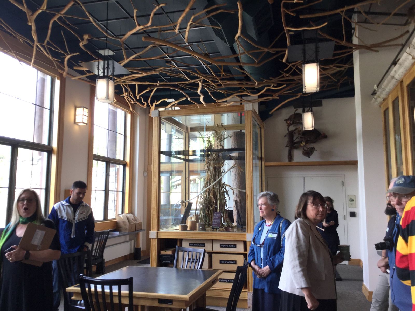 The room, flooded with light, exhibits the Three Sisters of Native American agriculture.
