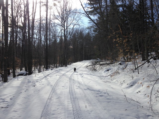 Nice wide seasonal road