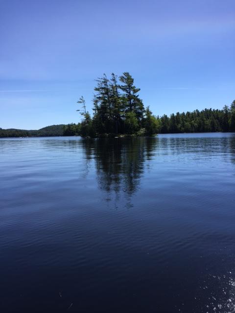 The green leaves and blue water which were the subject of our summer dreams. The green leaves and blue water which were the subject of our summer dreams.