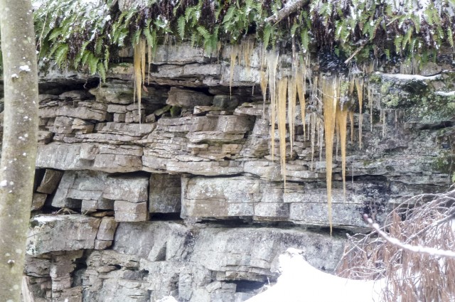 Ausable Chasm