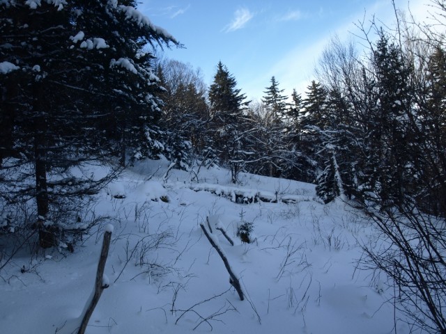 Summit