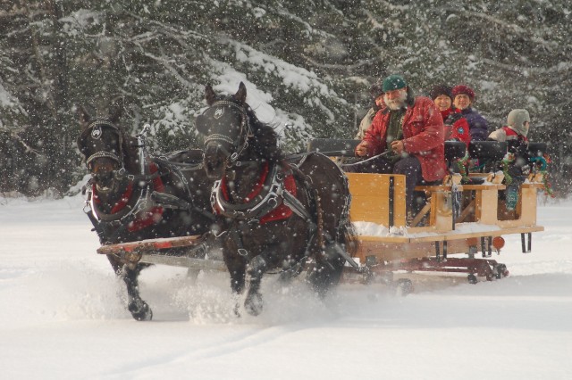 Paul Smiths College Draft Horses, Sleigh