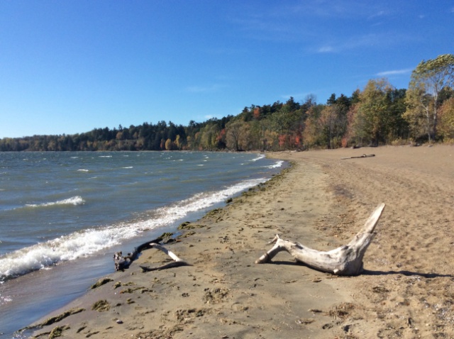 Summer beach, fall color, and found art.