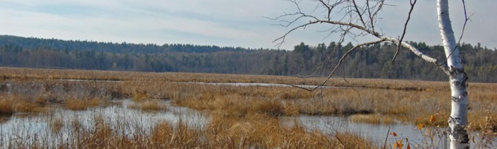 Wonderful for hiking, birding, and photo taking.