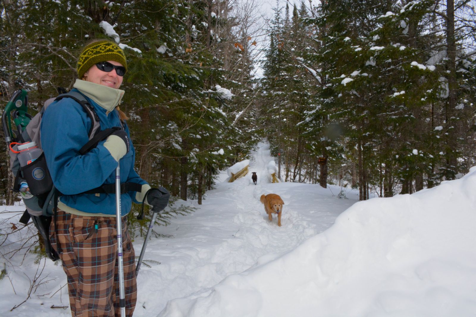 Nicole Curtin at the start of the Goodman Mountain trailhead, along with Jack and Gilly doubling back.