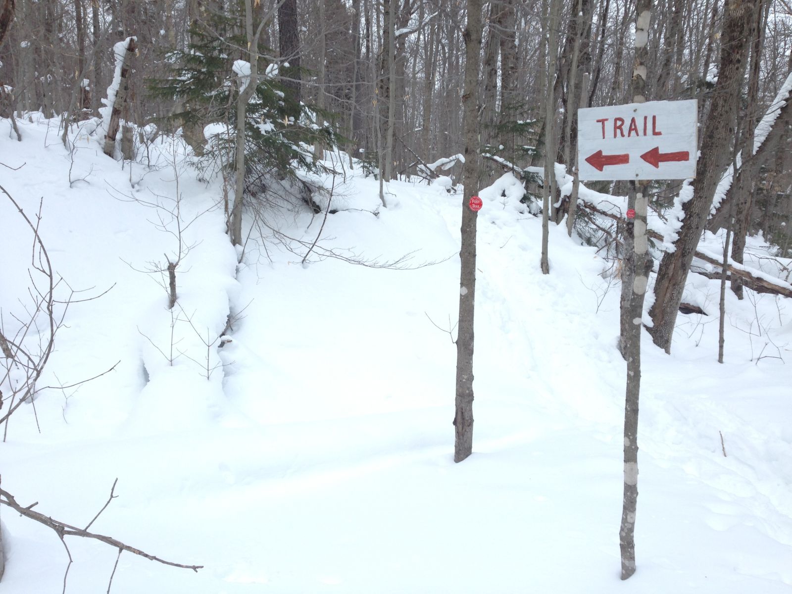 The junction where you’ll take left to make the climb to the summit.