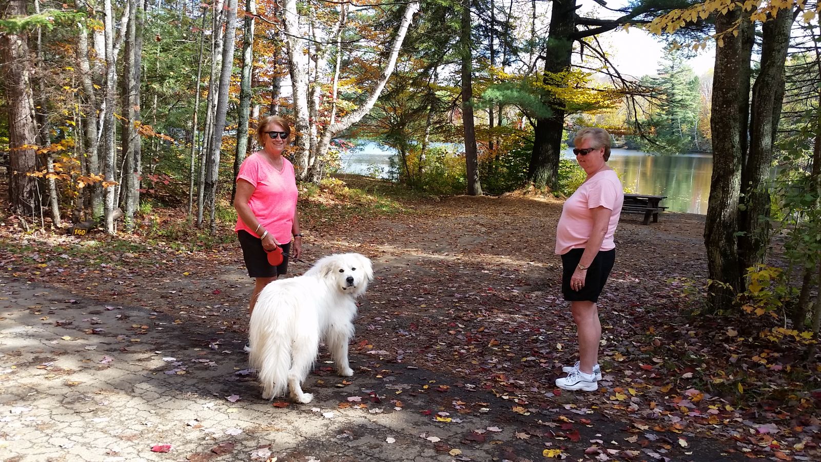 Campers from Wilmington, New York, walking their furbie!