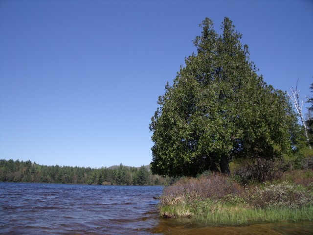 Long Pond Long Pond