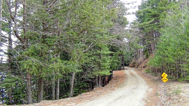 The road can take you to the trails, or the road can be part of the trails. Your choice.