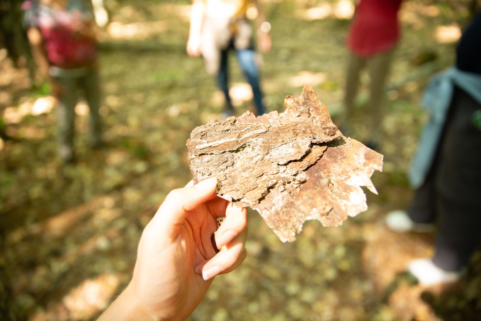Together we created a work of forest art.